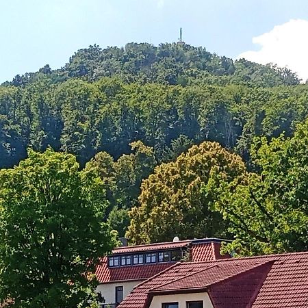 Apartment Biesnitz Görlitz Εξωτερικό φωτογραφία
